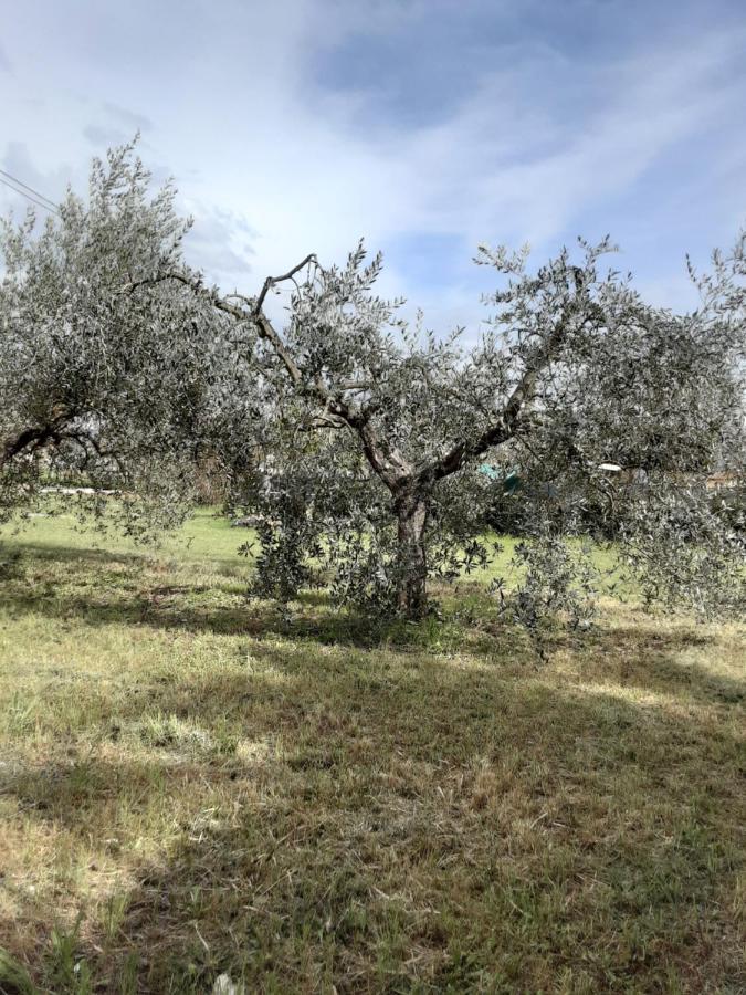 La Cascina Di Fox Villa Terni Exterior foto