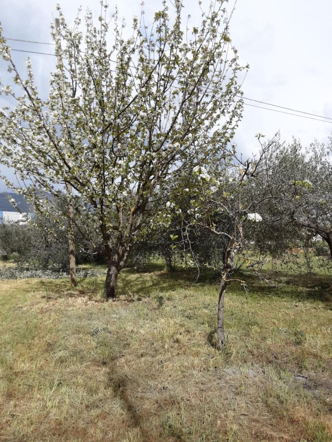 La Cascina Di Fox Villa Terni Exterior foto